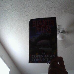 The Copenhagen Connection by Elizabeth Peters